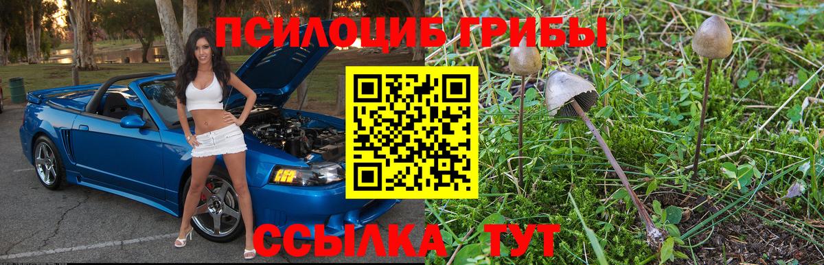 Галлюциногенные грибы Psilocybe  Псилоцибиновые грибы Psilocybine cubensis  Берёзовский  Вход с VPN 