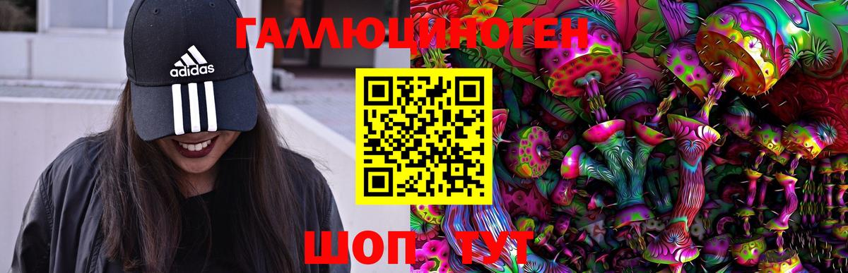 Псилоцибиновые грибы GOLDEN TEACHER Берёзовский